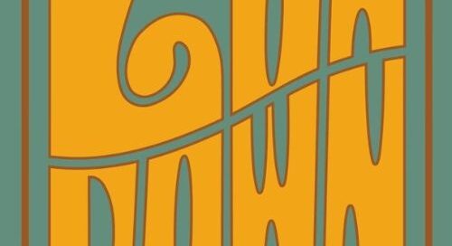 Low Down Inc